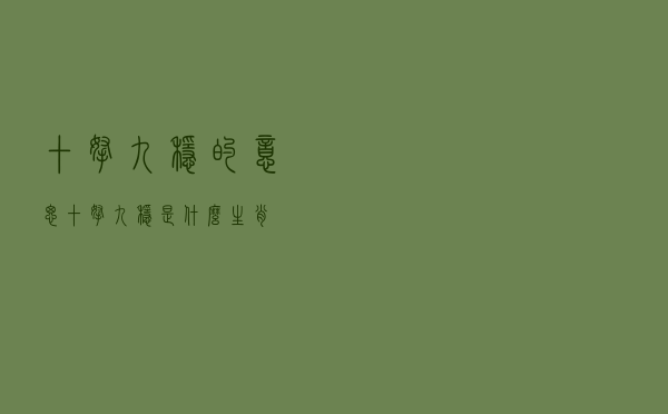 十拿九稳的意思（十拿九稳是什么生肖）