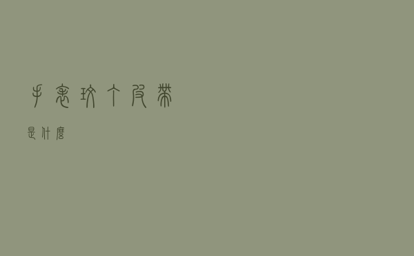 手表玫丁皮带是什么