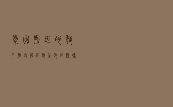 爱因斯坦的骰子，薛定谔的猫，你真的懂吗？