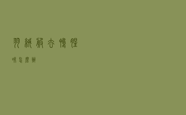 羽绒服去鸭腥味怎么办