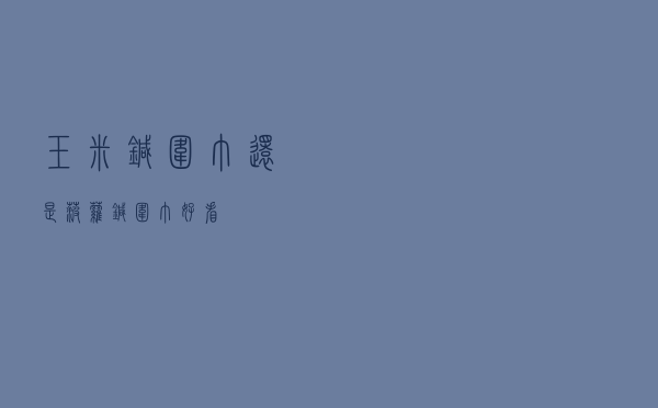 玉米针围巾还是菠萝针围巾好看