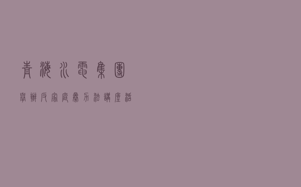 青海水电集团举办《反家庭暴力法》讲座活动