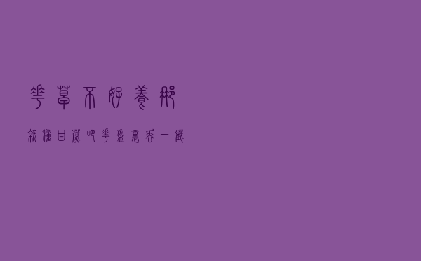 花草不好养？那就种甘蔗吧，花盆里丢一截，长成“小竹林”