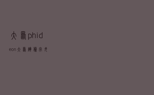大众phideon（大众辉腾字母）