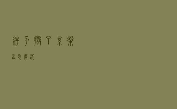 裤子撒了紫药水怎么洗