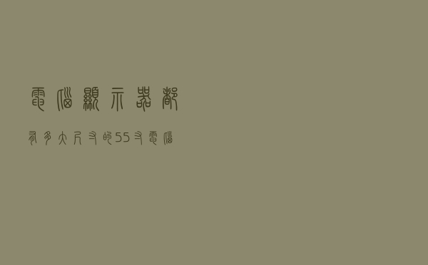 电脑显示器都有多大尺寸的（55寸电脑显示器）