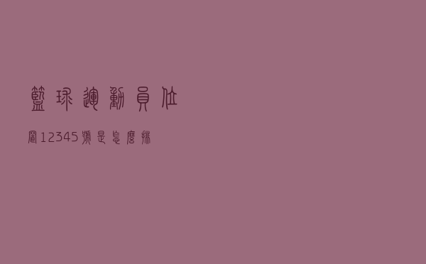 篮球运动员位置1，2，3，4，5号是怎么排的？
