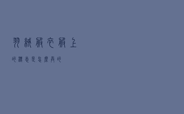 羽绒服衣服上的标志是怎么弄的