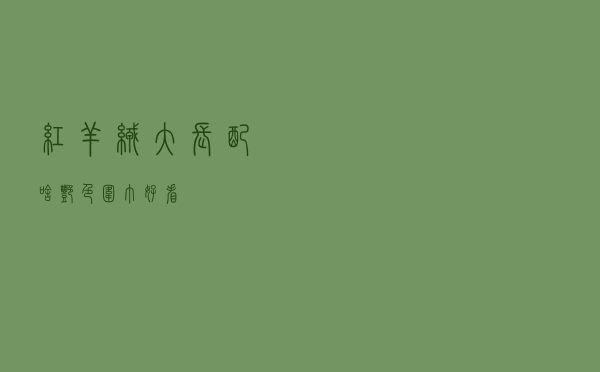 红羊绒大长配啥艳色围巾好看