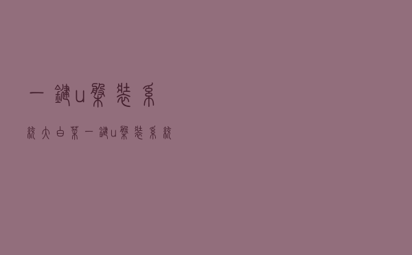 一键u盘装系统，大白菜一键u盘装系统