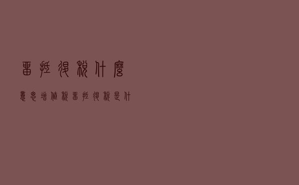 留抵退税什么意思（增值税留抵退税是什么意思）