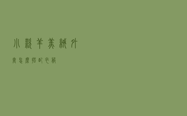 小款羊羔绒外套怎么搭配衣服
