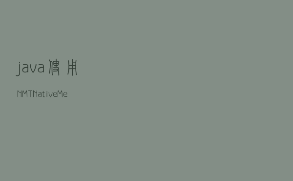java使用NMT Native Memory Tracking分析内存占用