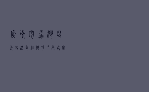 广州市荔湾区委政法委组织村干部庭审旁听学法