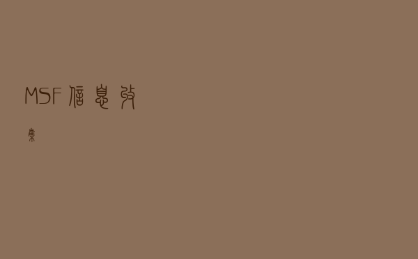 MSF信息收集