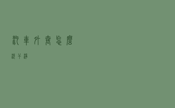 汽车外套怎么洗干净