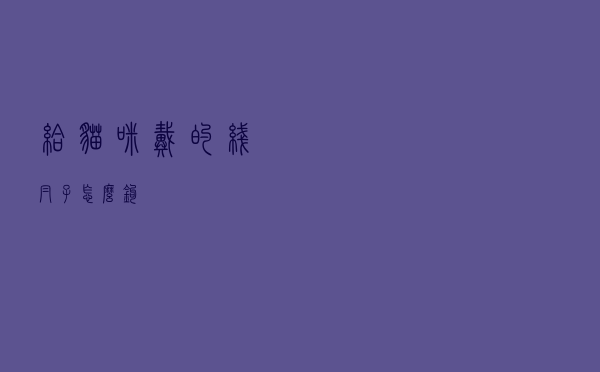 给猫咪戴的线帽子怎么钩