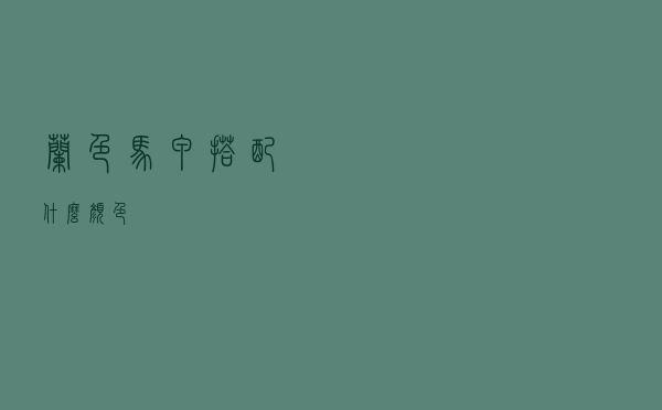 兰色马甲搭配什么颜色