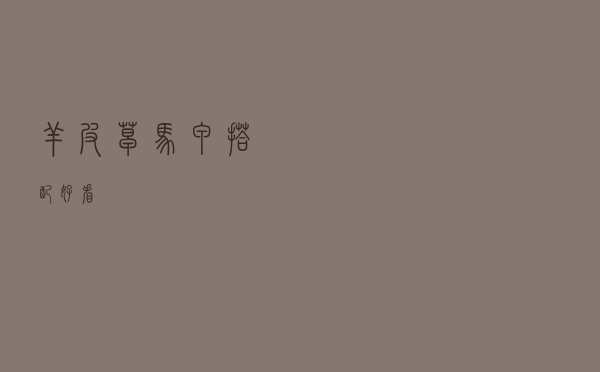 羊皮草马甲搭配好看