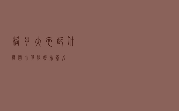 格子大衣配什么围巾比较好看图片