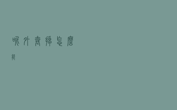 呢外套掉怎么能