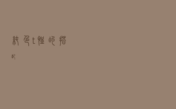 纯色t恤的搭配