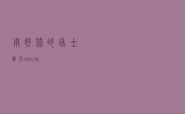 用好你的瑞士军刀/netcat