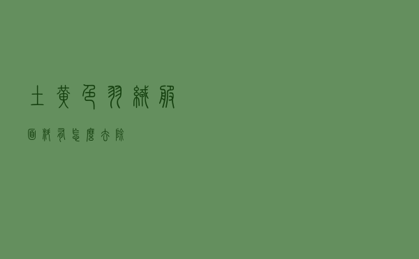 土黄色羽绒服面料有怎么去除
