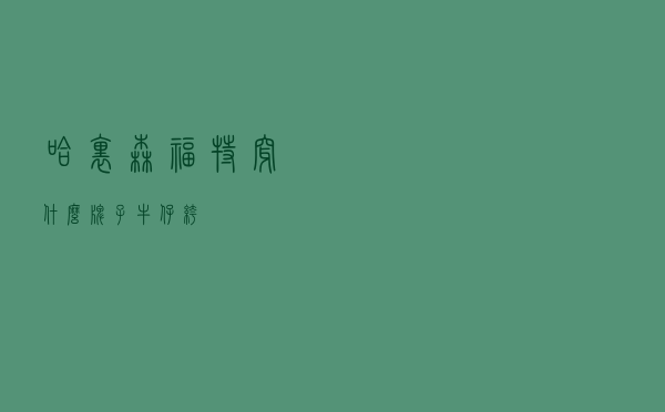哈里森福特穿什么牌子牛仔裤