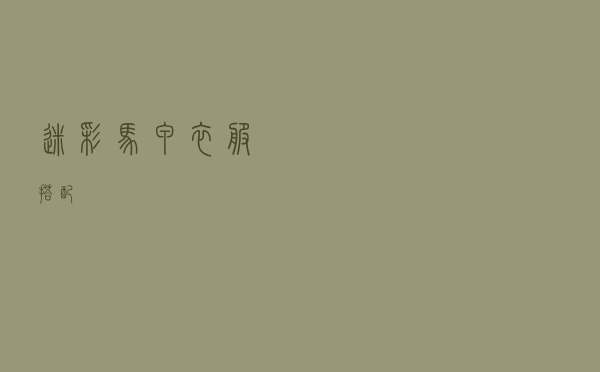 迷彩马甲衣服搭配