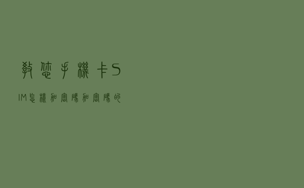 教您手机（卡）SIM怎样加密码，加密码的好处