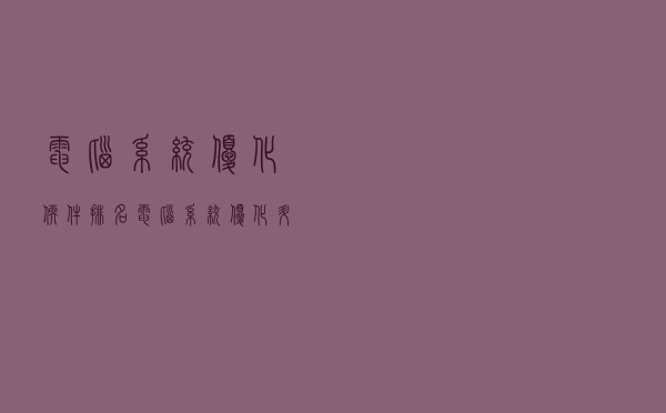 电脑系统优化软件排名（电脑系统优化升级）