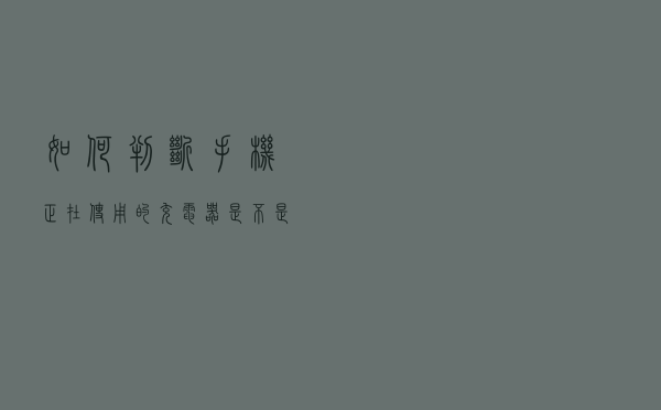 如何判断手机正在使用的充电器是不是原装的？