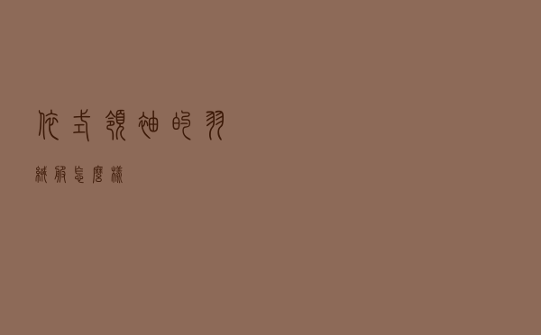 依式领袖的羽绒服怎么样