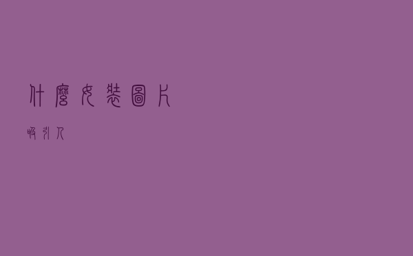 什么女装图片吸引人