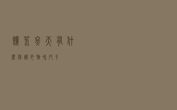 饥荒冬天有什么保暖衣物和帽子