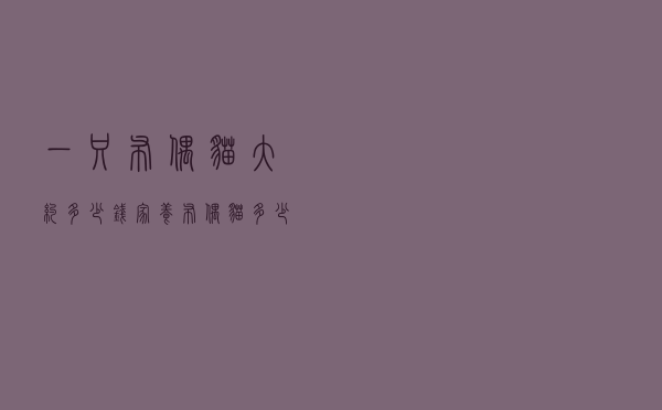 一只布偶猫大约多少钱（家养布偶猫多少钱一只）