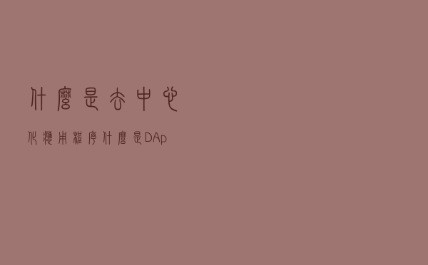 什么是去中心化应用程序？什么是DApp？