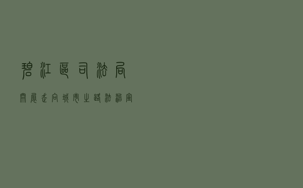 碧江区司法局开展“走向城市之路”法治宣传活动