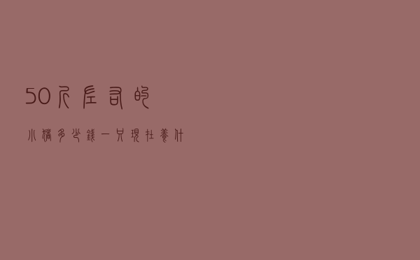 50斤左右的小猪多少钱一只（现在养什么最赚钱利润大）