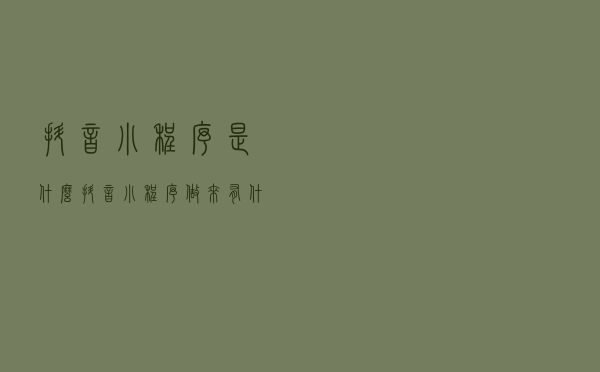 抖音小程序是什么？抖音小程序做来有什么用？