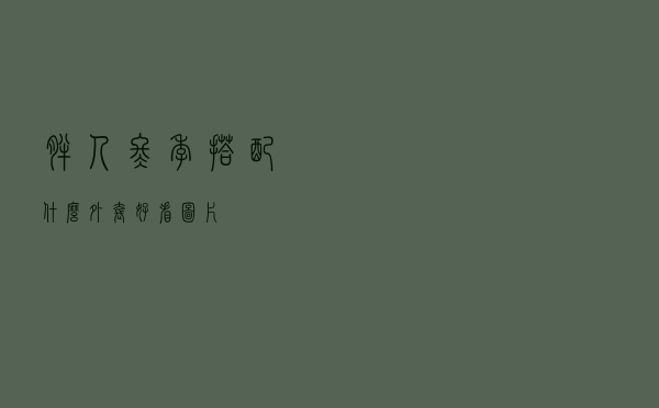 胖人冬季搭配什么外套好看图片