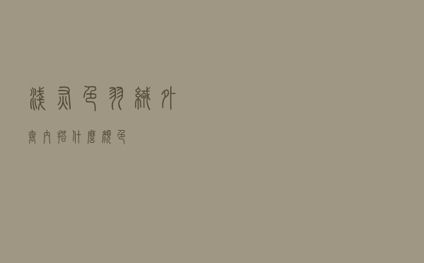 浅灰色羽绒外套内搭什么颜色