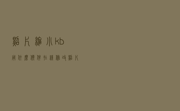 照片缩小kb用什么软件（在线修改照片大小kb免费）