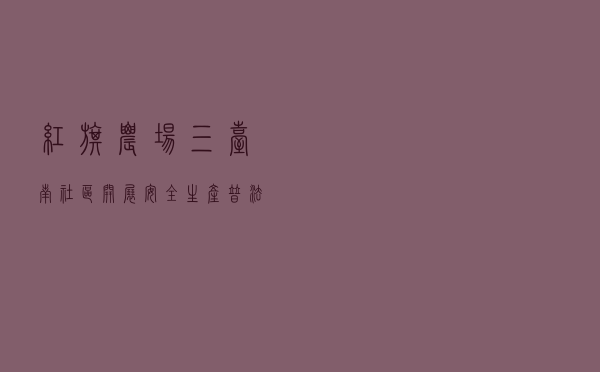 红旗农场三台南社区开展安全生产普法宣传活动案例