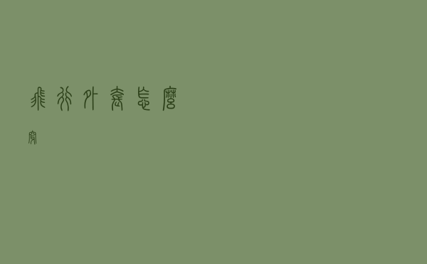 飞行外套怎么穿