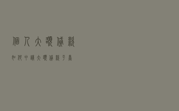 个人大额贷款如何申请（大额贷款平台）