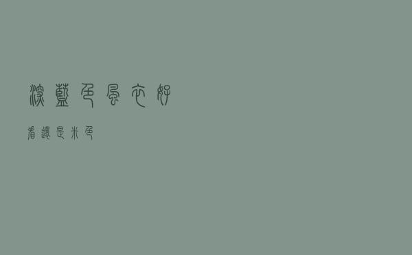 深蓝色风衣好看还是米色
