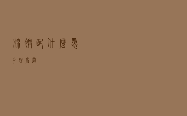 棉袄配什么裙子好看图