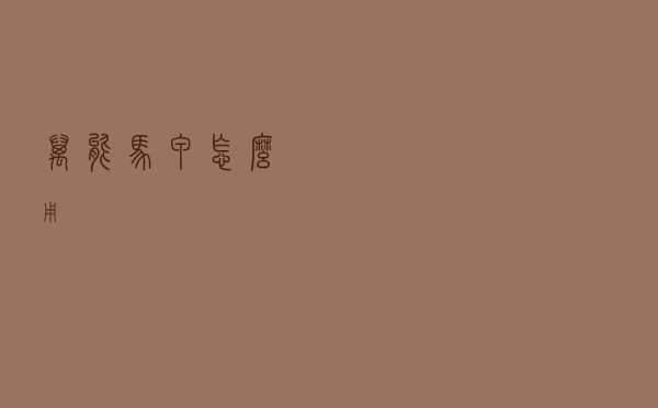 万能马甲怎么用